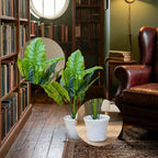 ARTIFICIAL DUMBCANE LEAF PLANT (P61)