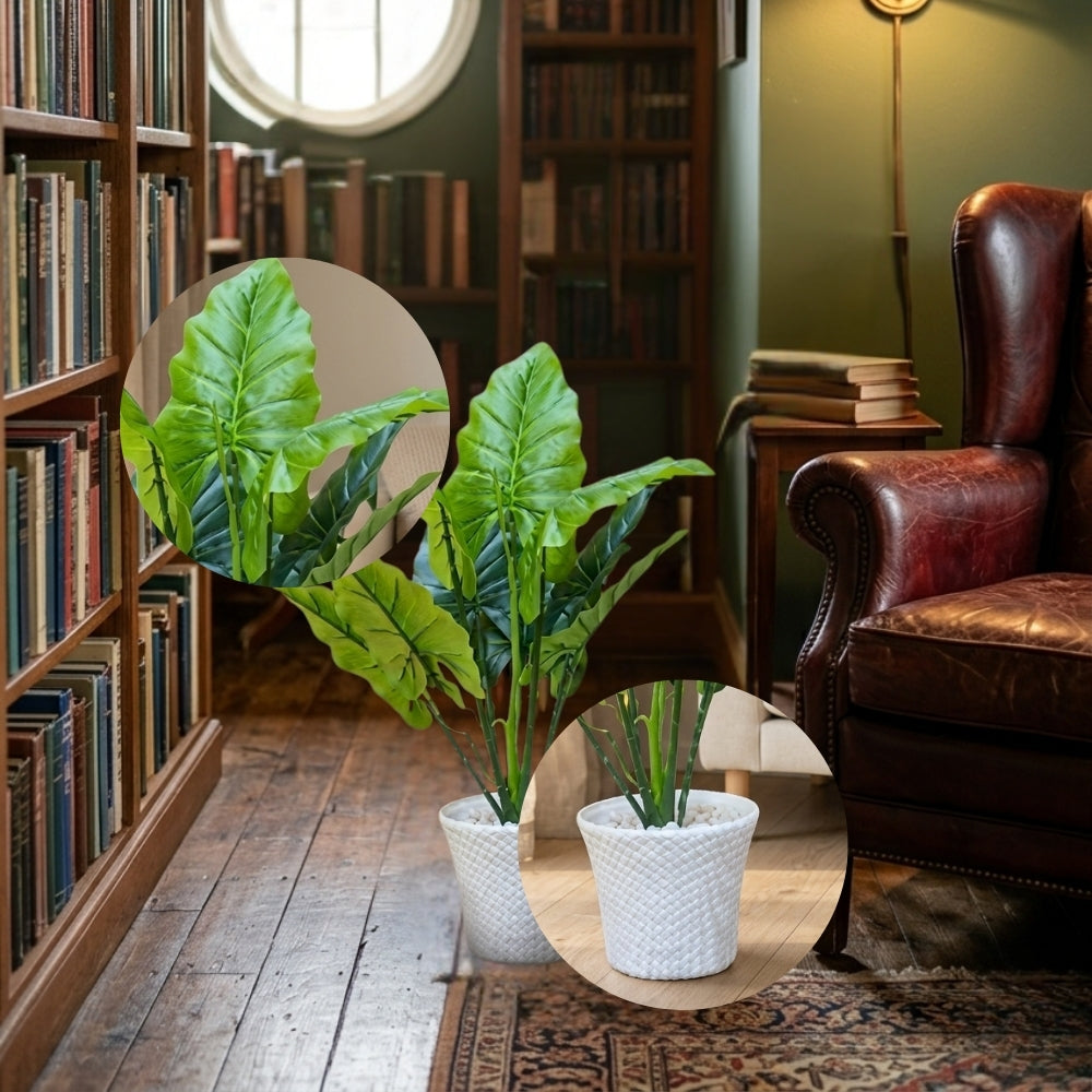 ARTIFICIAL DUMBCANE LEAF PLANT (P61)