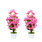 Artificial Bougainvillea flower plant(combo of 2)