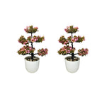 Artificial Blossom Bonsai Tree Plant(combo of 2)