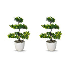 Artificial Blossom Bonsai Tree Plant(combo of 2)