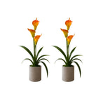 Artificial ANTHURIUM flower ( combo of 2)