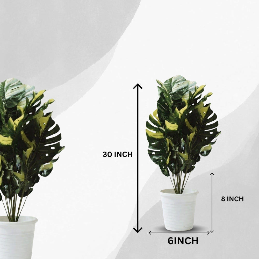 Artificial Dumb Cane Plant (P38)