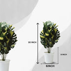 Artificial Dumb Cane Plant (P38)