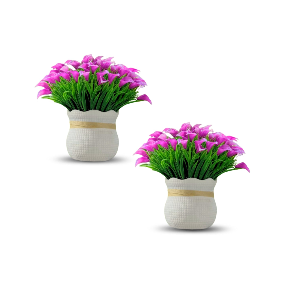 Artificial Anthurium Combo of 2(P9)