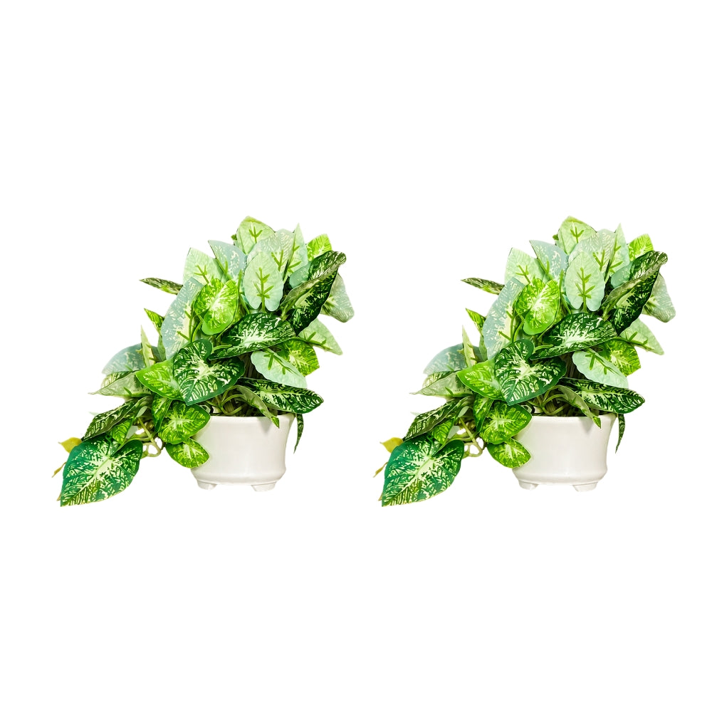 Artificial Hanging plant (Combo of 2)
