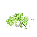 Artificial Hanging plant (Combo of 2)
