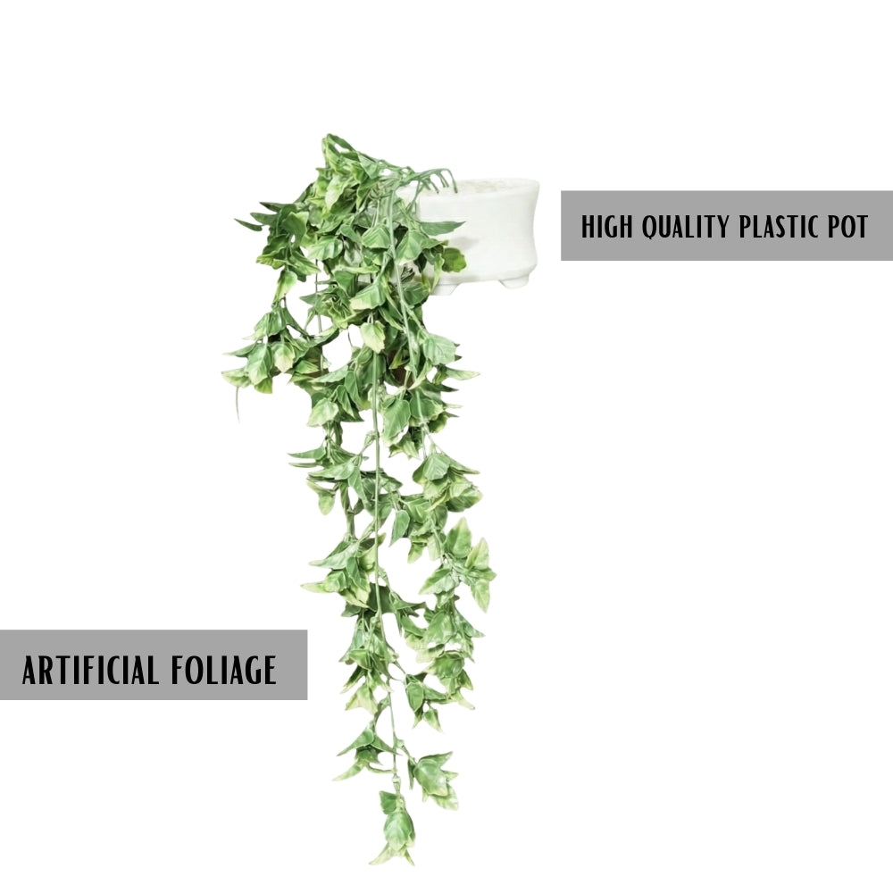 Faux Hanging Plant Dark Green Combo of 2(P3)