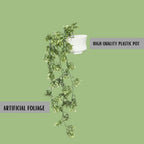Faux Hanging Plant Dark Green Combo of 2(P3)