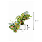Artificial Hanging plant (Combo of 2)