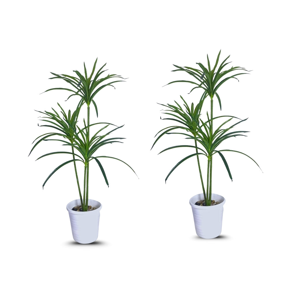 Artificial Madagascar Dragon Tree
