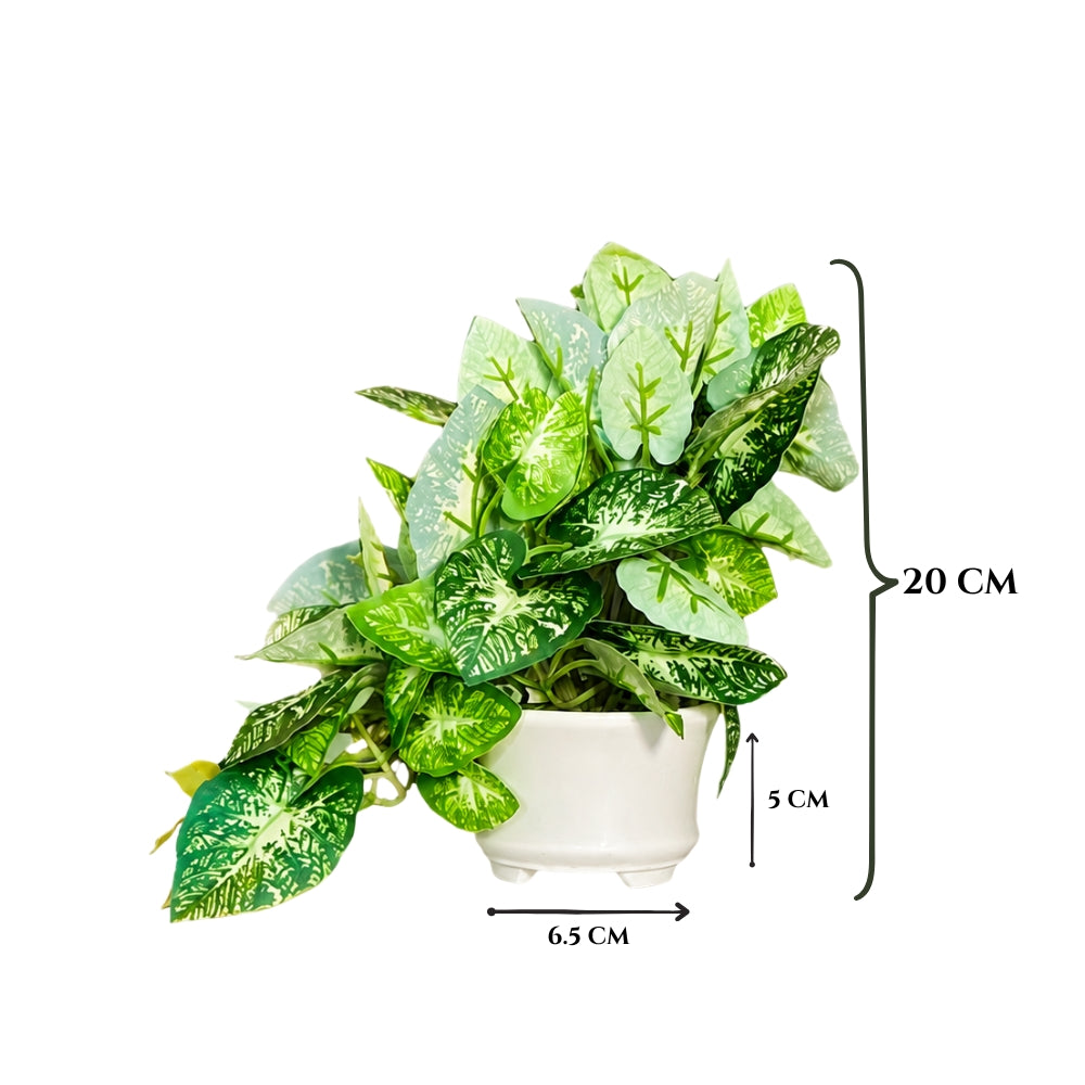 Artificial Hanging plant (Combo of 2)