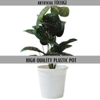 Artificial Dumb Cane Plant (P38)