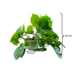Artificial Hanging plant (Combo of 2)
