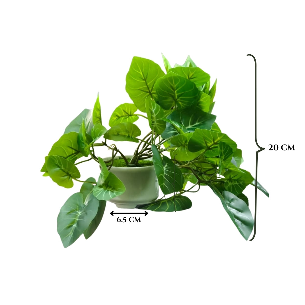 Artificial Hanging plant (Combo of 2)