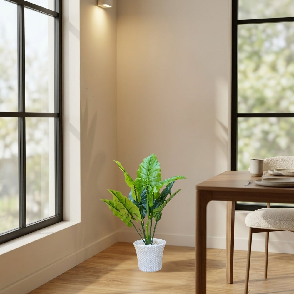 ARTIFICIAL DUMBCANE LEAF PLANT (P61)
