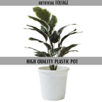 Artificial Dumb Cane Plant (P38)