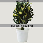 Artificial Dumb Cane Plant (P38)