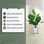 Artificial Dumb Cane Plant (P38)