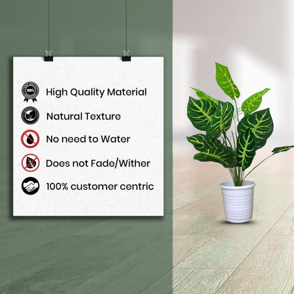 Artificial Dumb Cane Plant (P38)