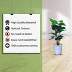 Artificial Dumb Cane Plant (P38)