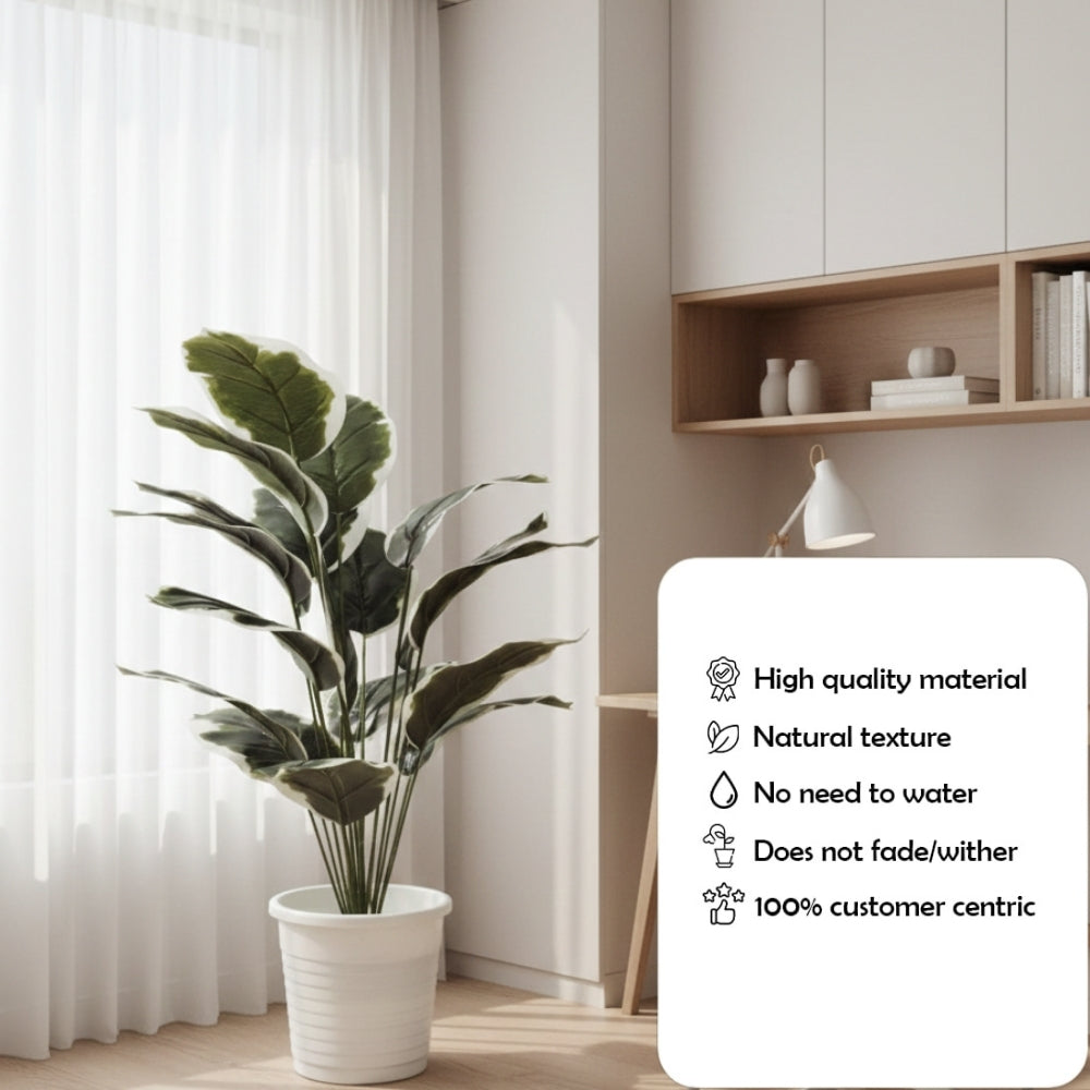 Artificial Dumb Cane Plant (P38)