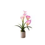 Artificial ANTHURIUM flower ( combo of 2)