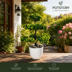 Artificial Blossom Bonsai Tree Plant(combo of 2)