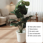 Artificial Dumb Cane Plant (P38)
