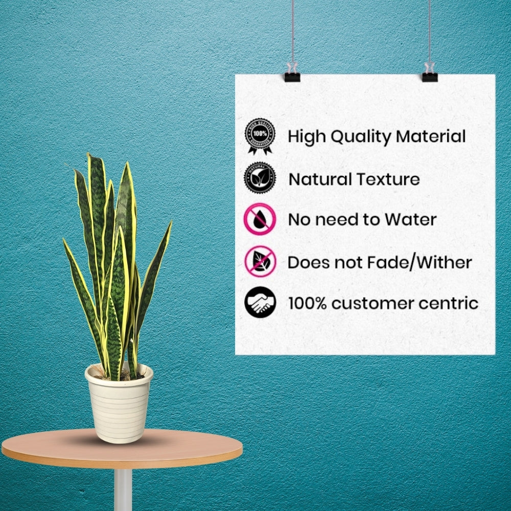 Artificial Snake Plant