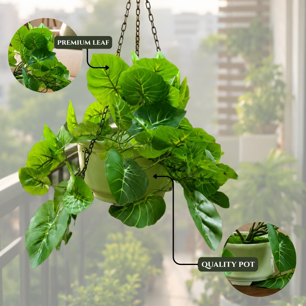 Artificial Hanging plant (Combo of 2)