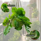 Artificial Hanging plant (Combo of 2)