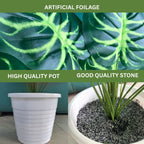 Artificial Dumb Cane Plant (P38)