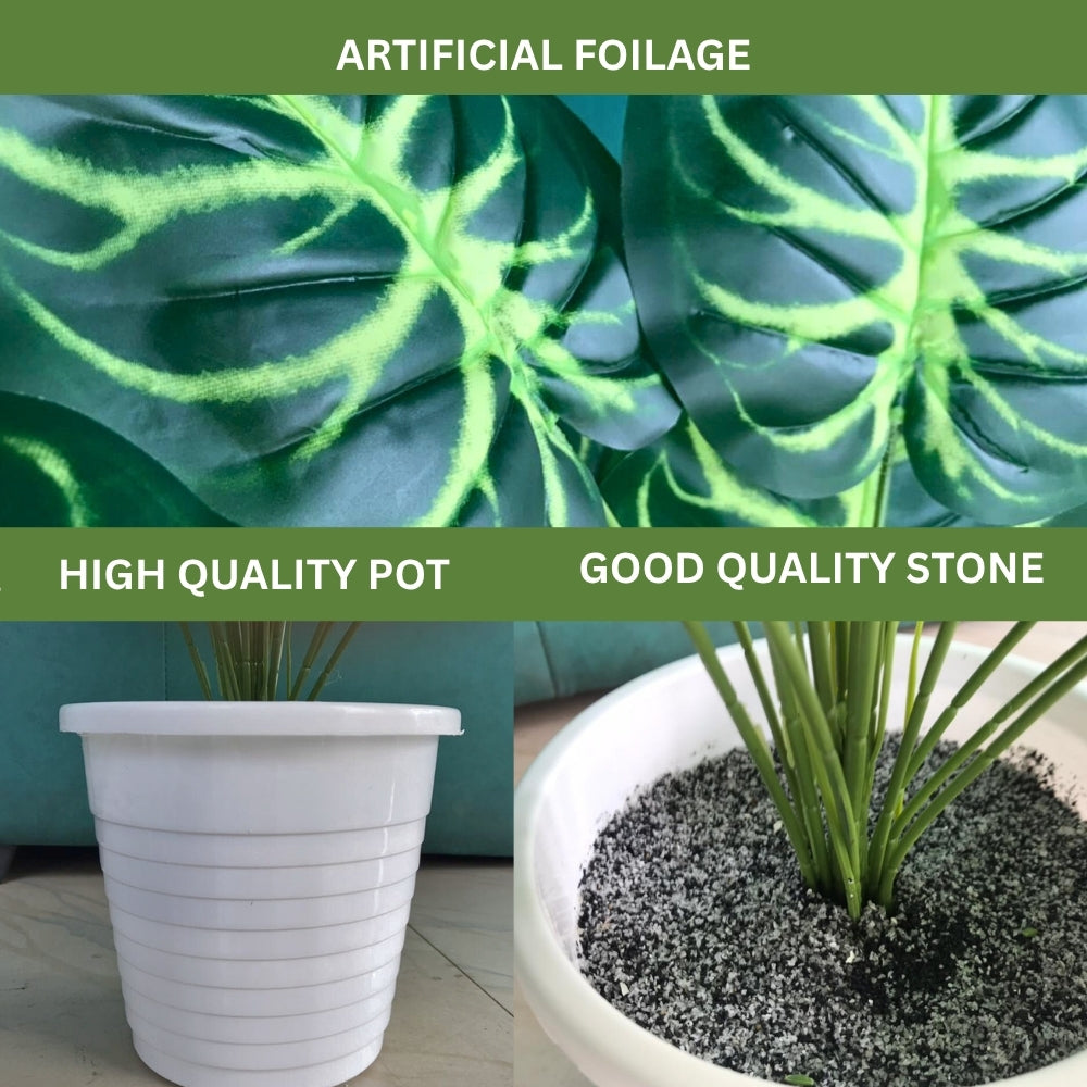 Artificial Dumb Cane Plant (P38)