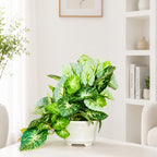 Artificial Hanging plant (Combo of 2)