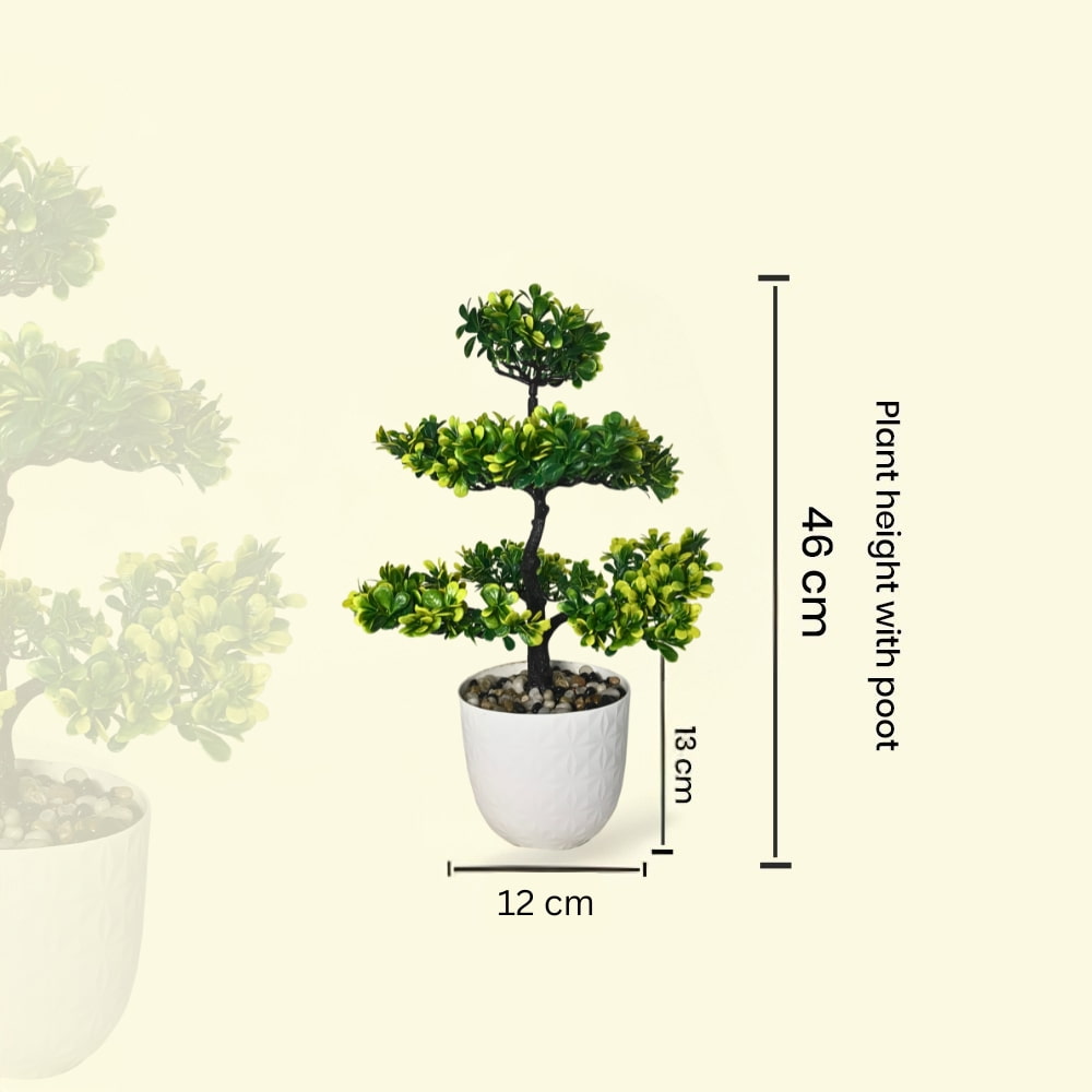 ARTIFICIAL Bonsai Plant (Combo of 2)