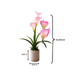 Artificial ANTHURIUM flower ( combo of 2)