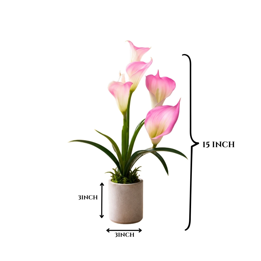 Artificial ANTHURIUM flower ( combo of 2)