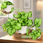 Artificial Hanging plant (Combo of 2)