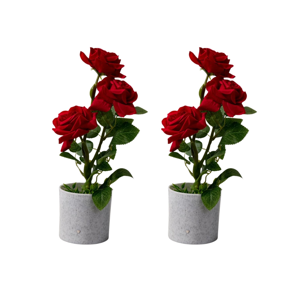 Artificial LIZZY ROSE (combo of 2)