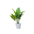 ARTIFICIAL DUMBCANE LEAF PLANT (P61)