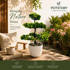 Artificial Blossom Bonsai Tree Plant(combo of 2)
