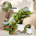 Artificial Hanging plant (Combo of 2)