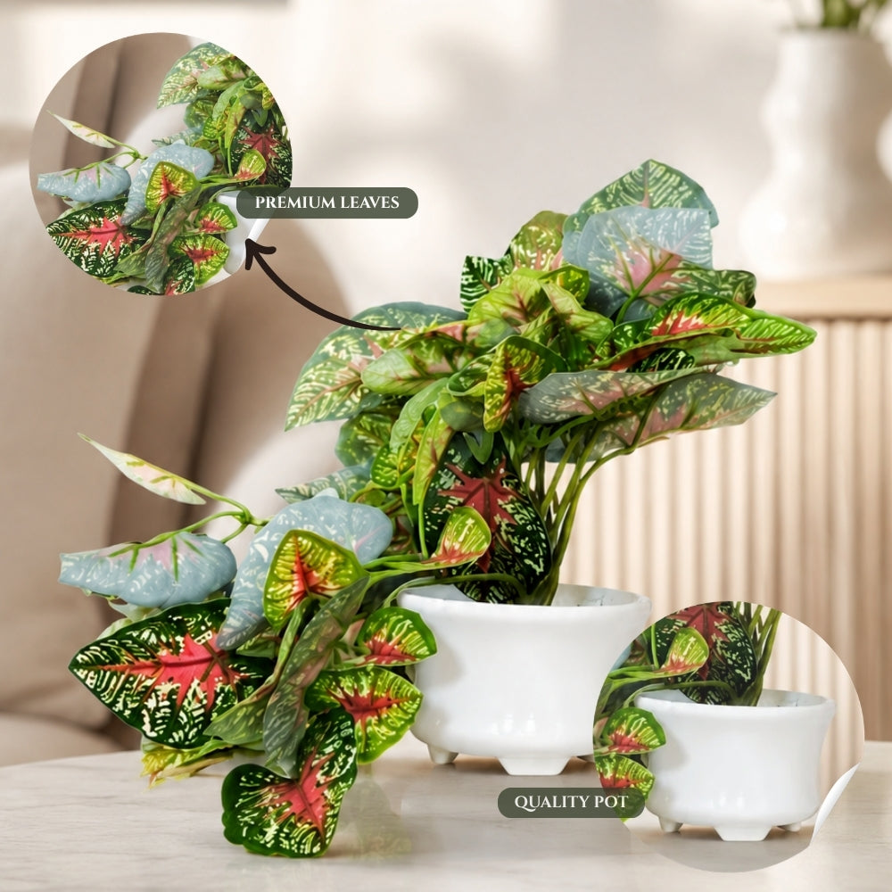 Artificial Hanging plant (Combo of 2)