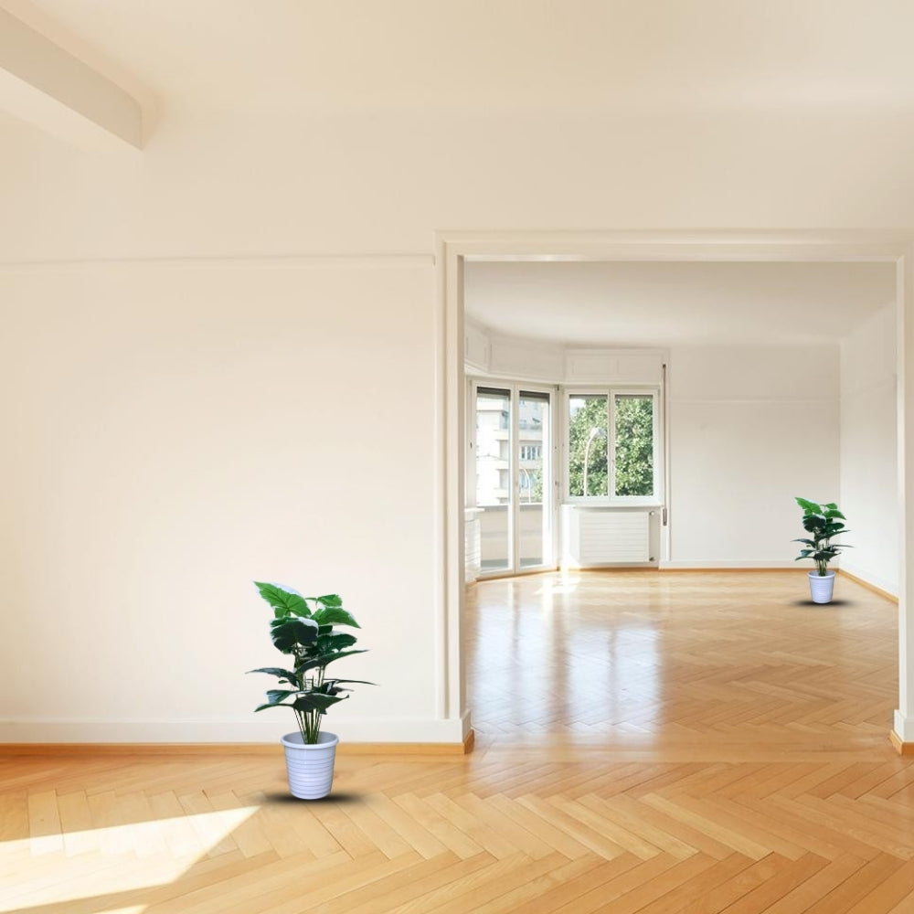 Artificial Dumb Cane Plant (P38)