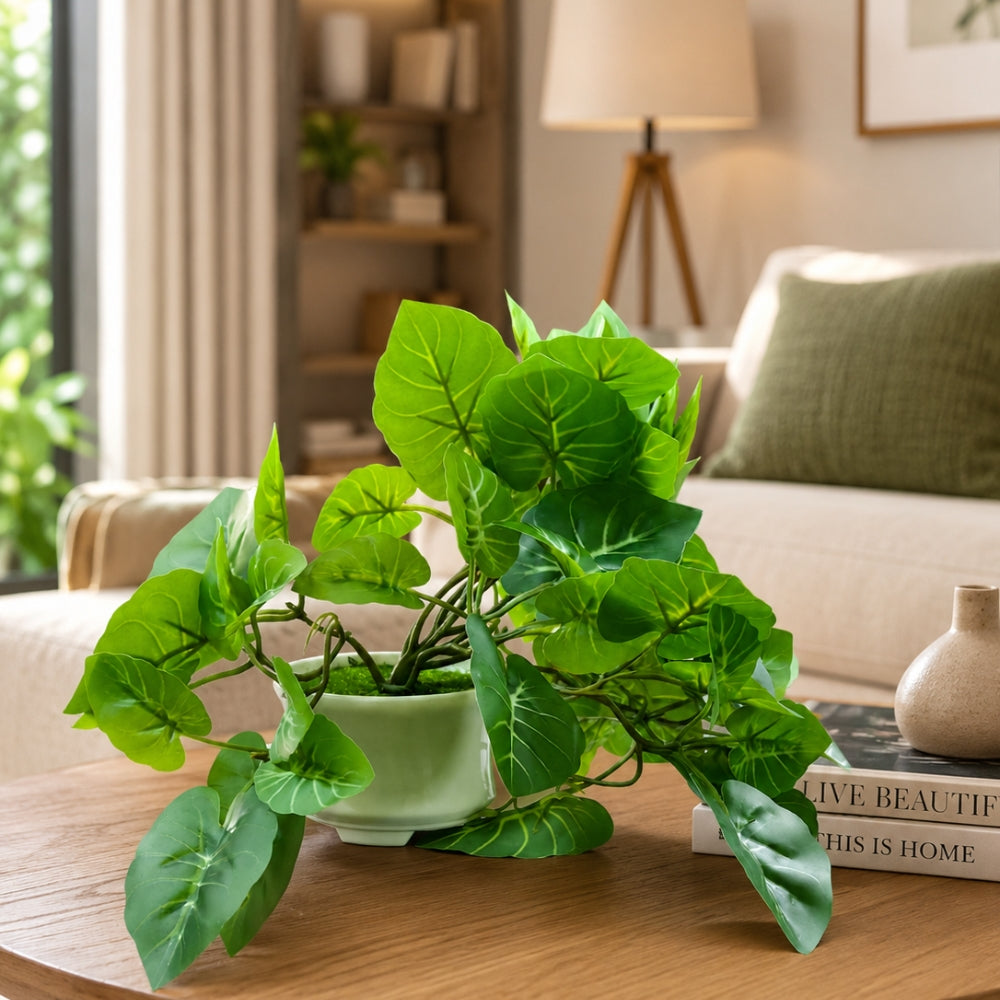 Artificial Hanging plant (Combo of 2)