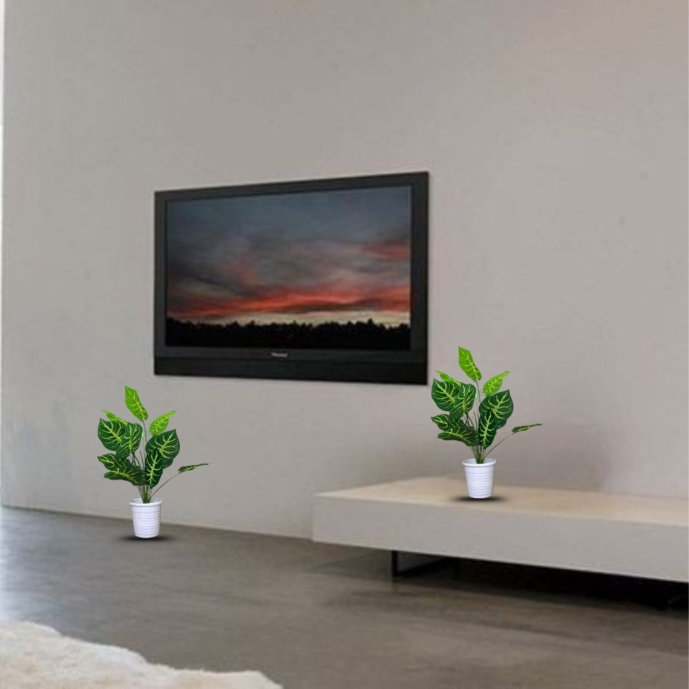 Artificial Dumb Cane Plant (P38)