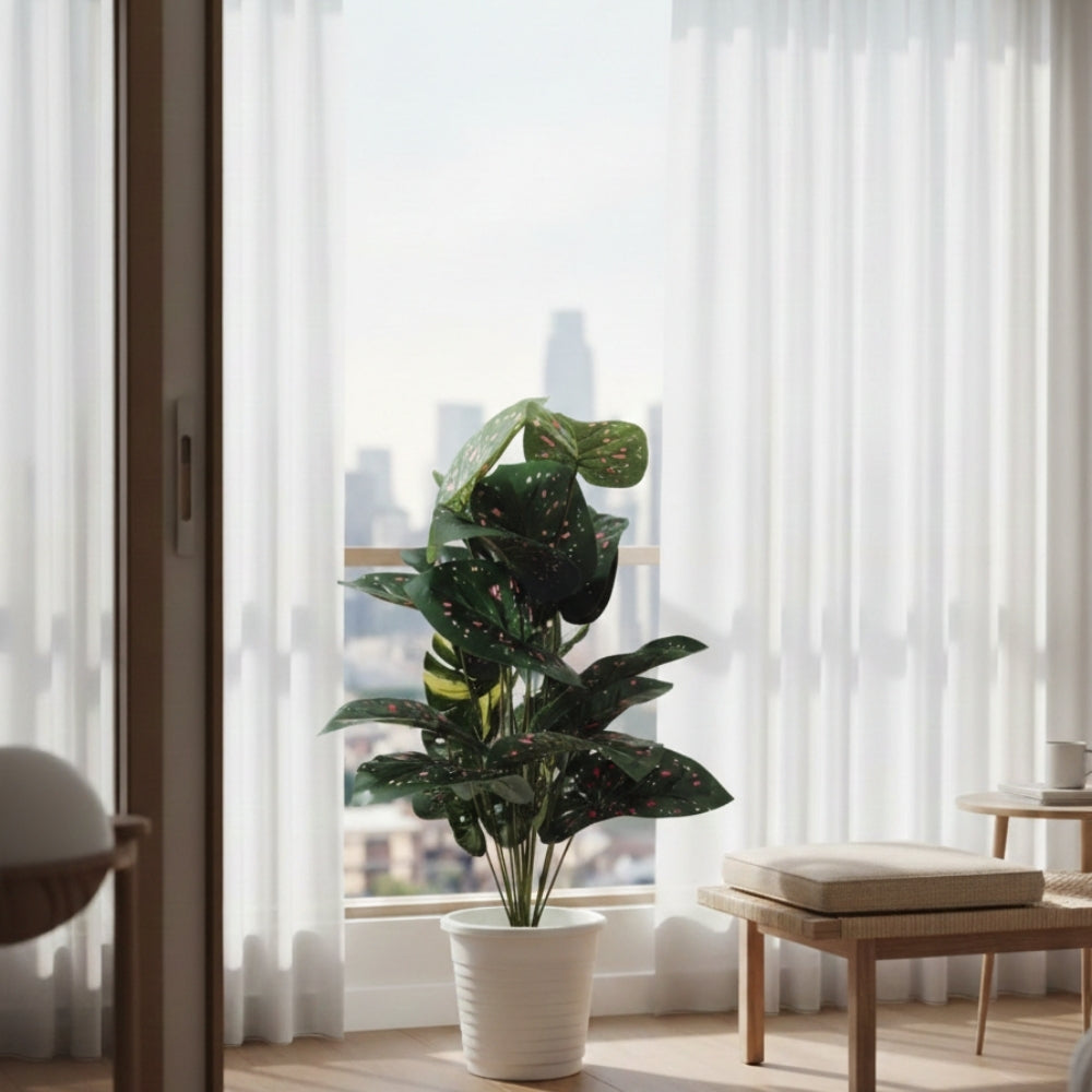 Artificial Dumb Cane Plant (P38)