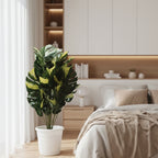 Artificial Dumb Cane Plant (P38)