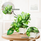 Artificial Hanging plant (Combo of 2)